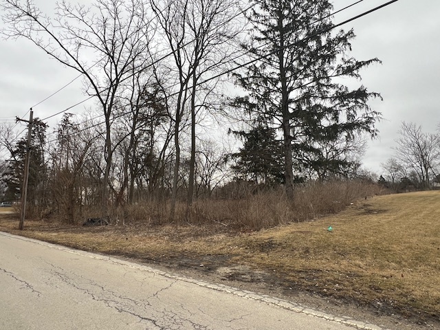 5603 Lenox Road Lisle, IL 60532 - Photo 3 of 4 a view of a yard