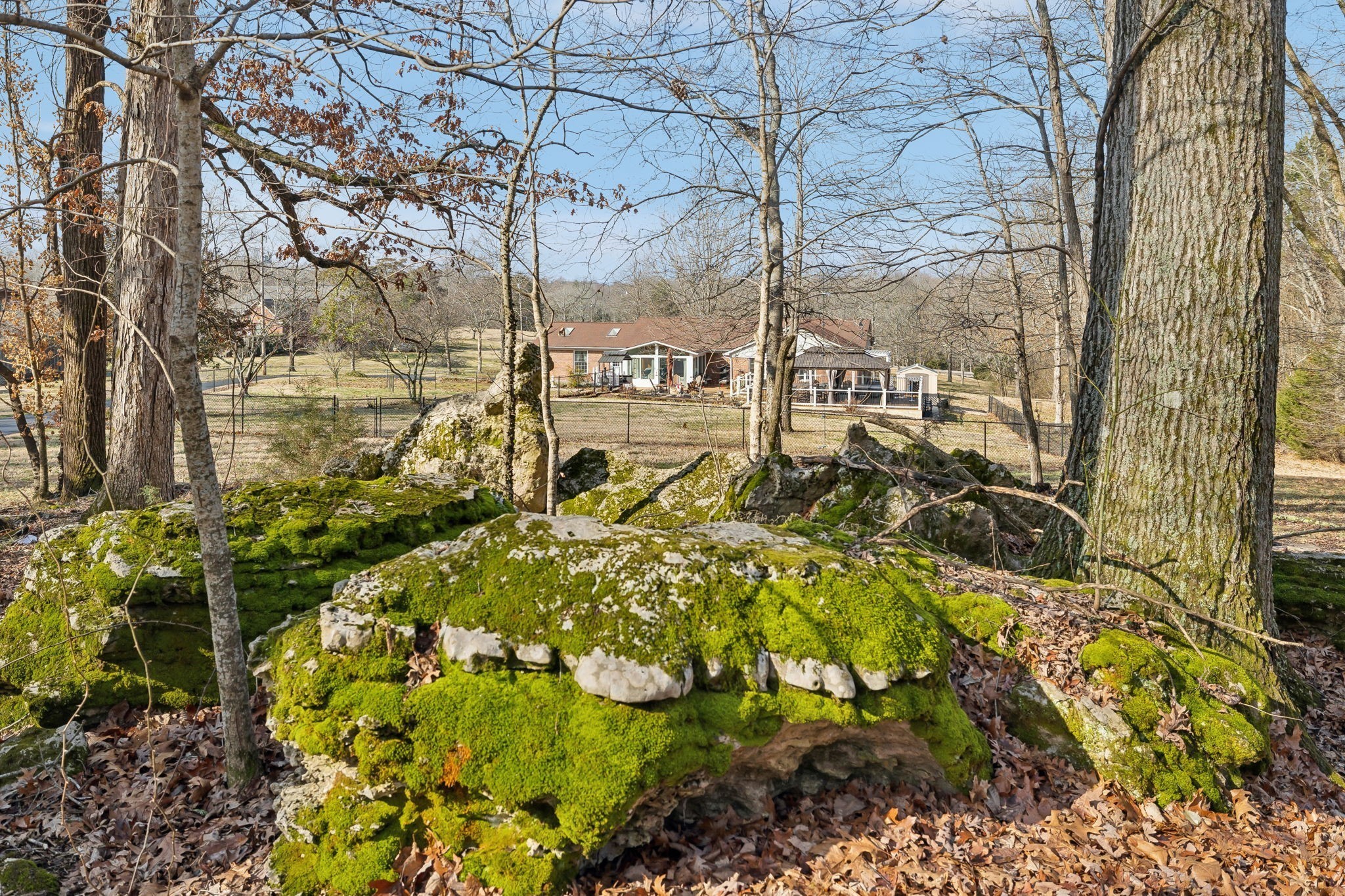 2079 Rock Springs Road Columbia, TN 38401 - Photo 69 of 83 a view of a large yard with plants and large trees