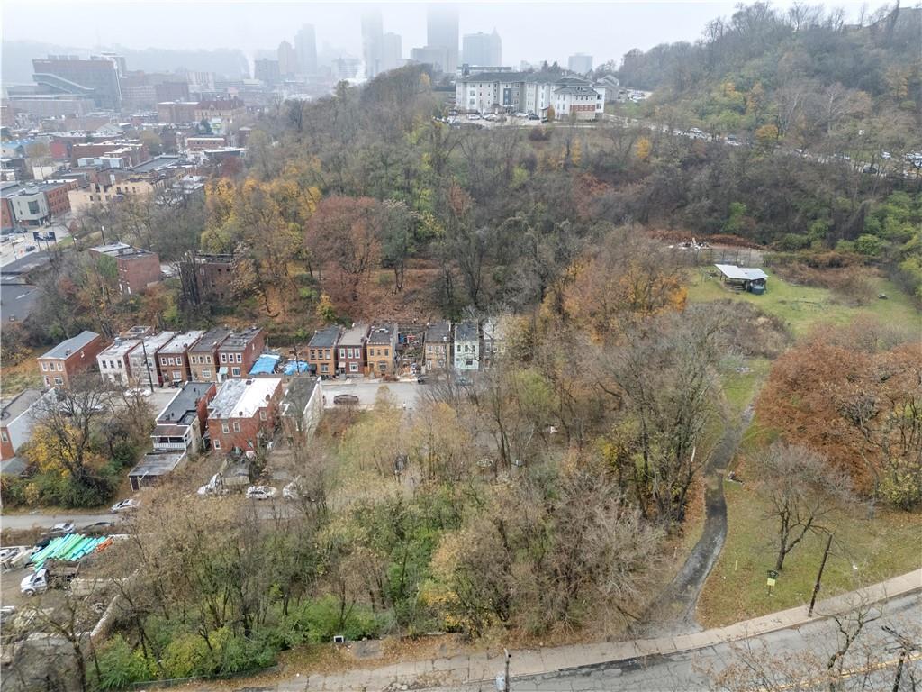 147 Moultrie Street Pittsburgh, PA 15219 - Photo 24 of 30 a view of a city