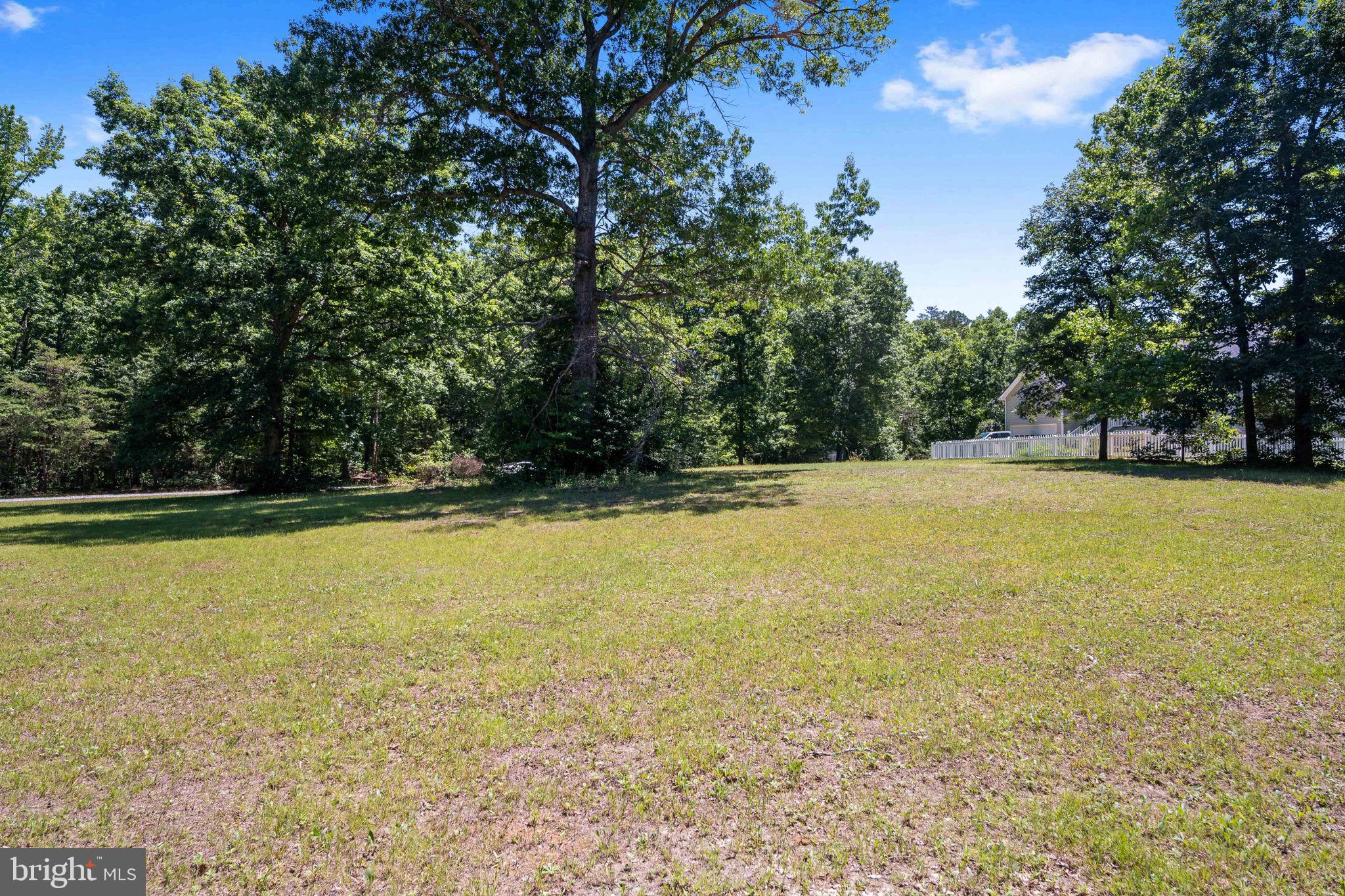 8009 Burrell Road Fredericksburg, VA 22407 - Photo 62 of 66 Spacious green retreat in nature's embrace.