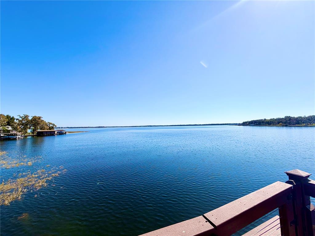 5243 West Lake Butler Road Windermere, FL 34786 - Photo 37 of 43 a view of an ocean from a balcony