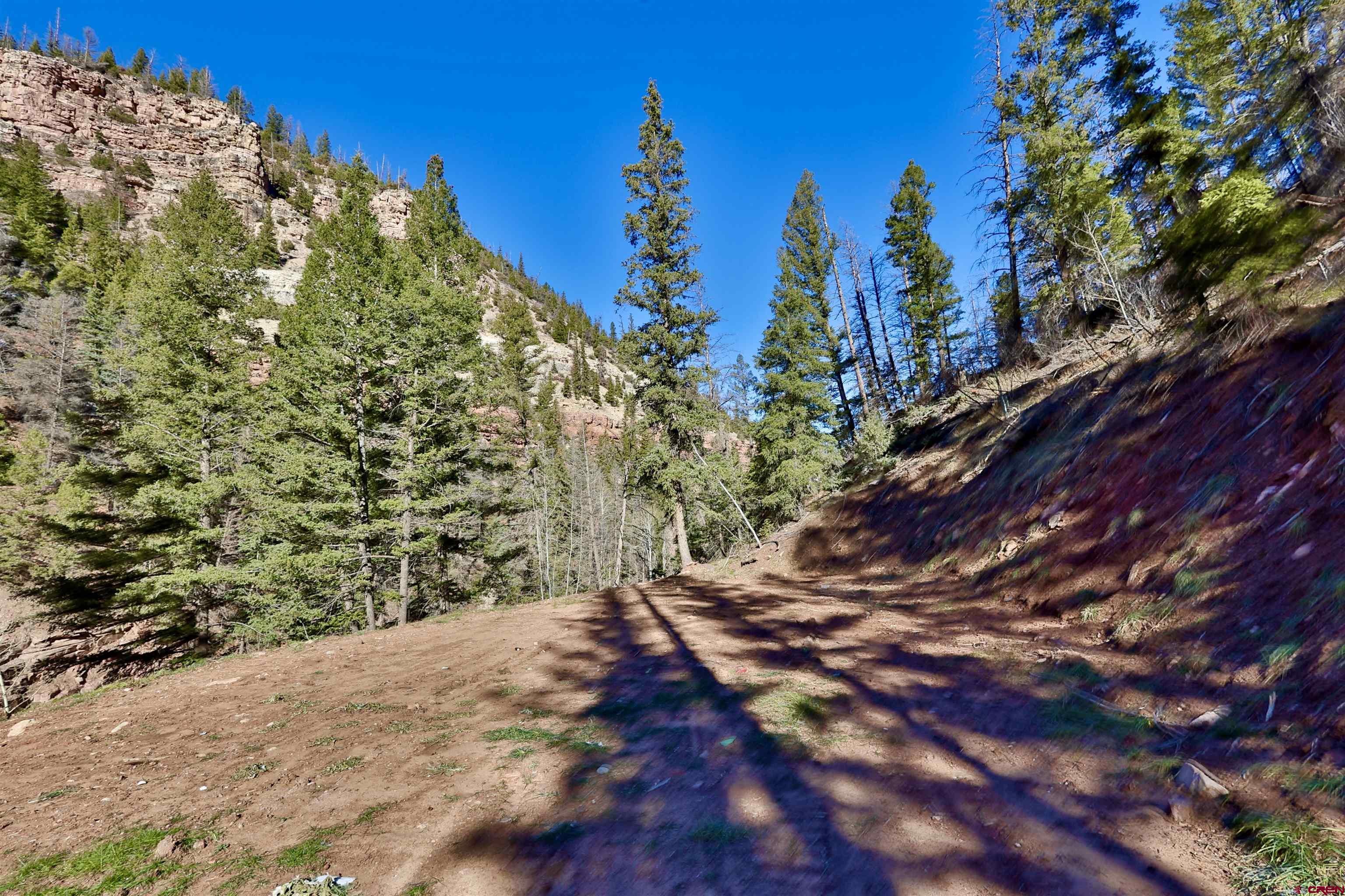 Silver Pick Road Telluride, CO 81435 - Photo 14 of 21 a view of a yard with plants and trees