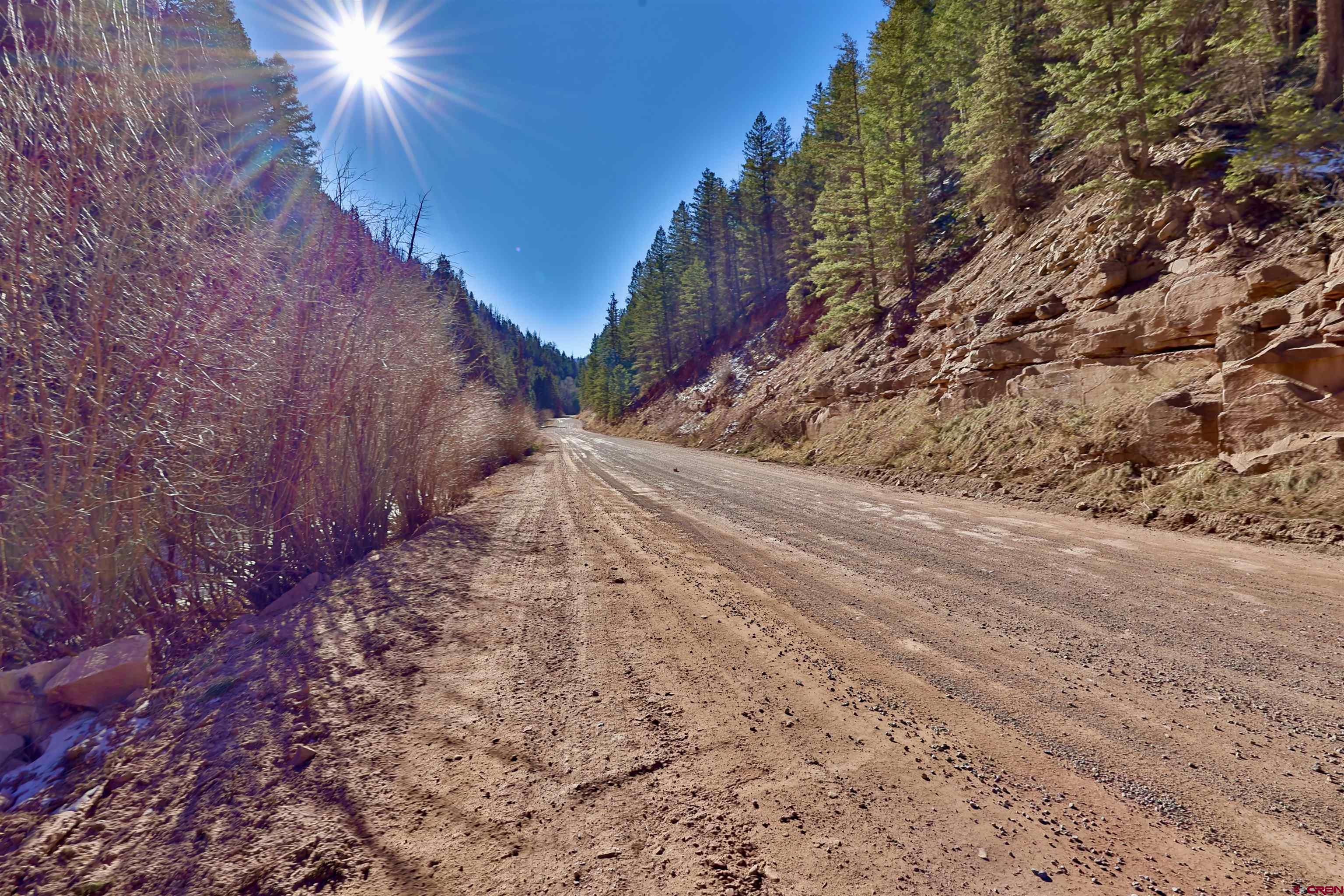 Silver Pick Road Telluride, CO 81435 - Photo 17 of 21 a view of a yard with a tree
