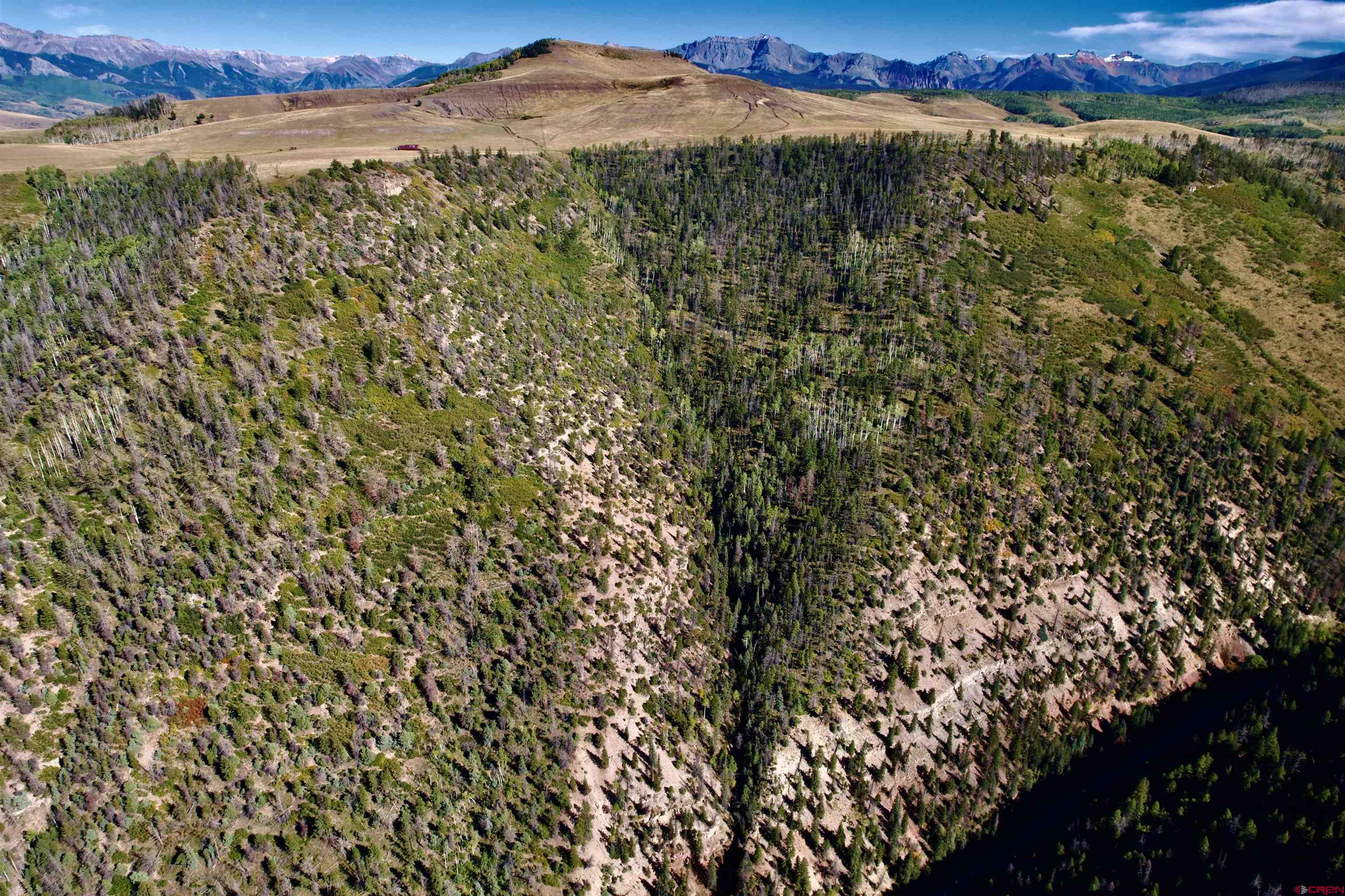 Silver Pick Road Telluride, CO 81435 - Photo 2 of 21 a view of a city with lush green forest