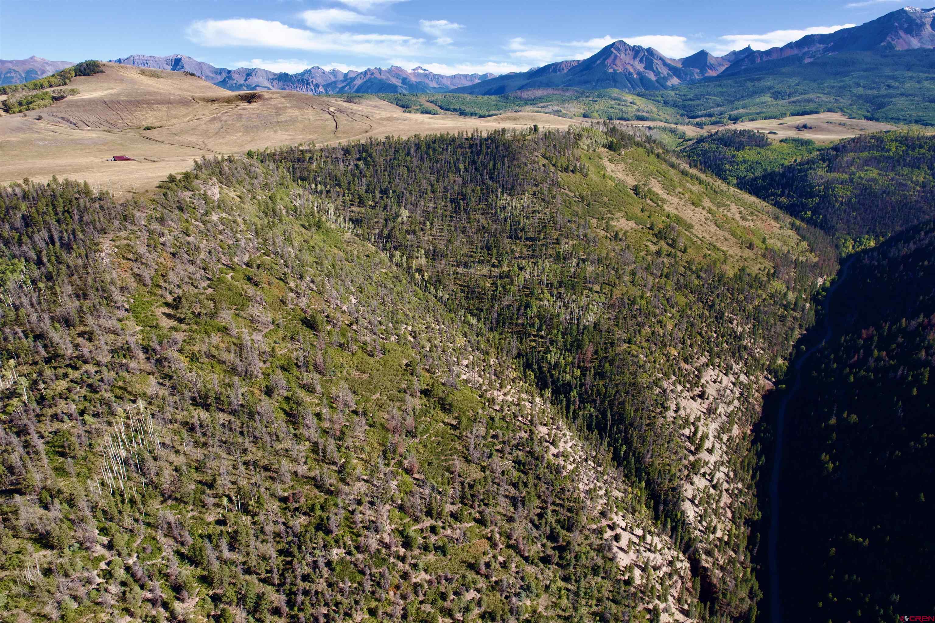Silver Pick Road Telluride, CO 81435 - Photo 4 of 21