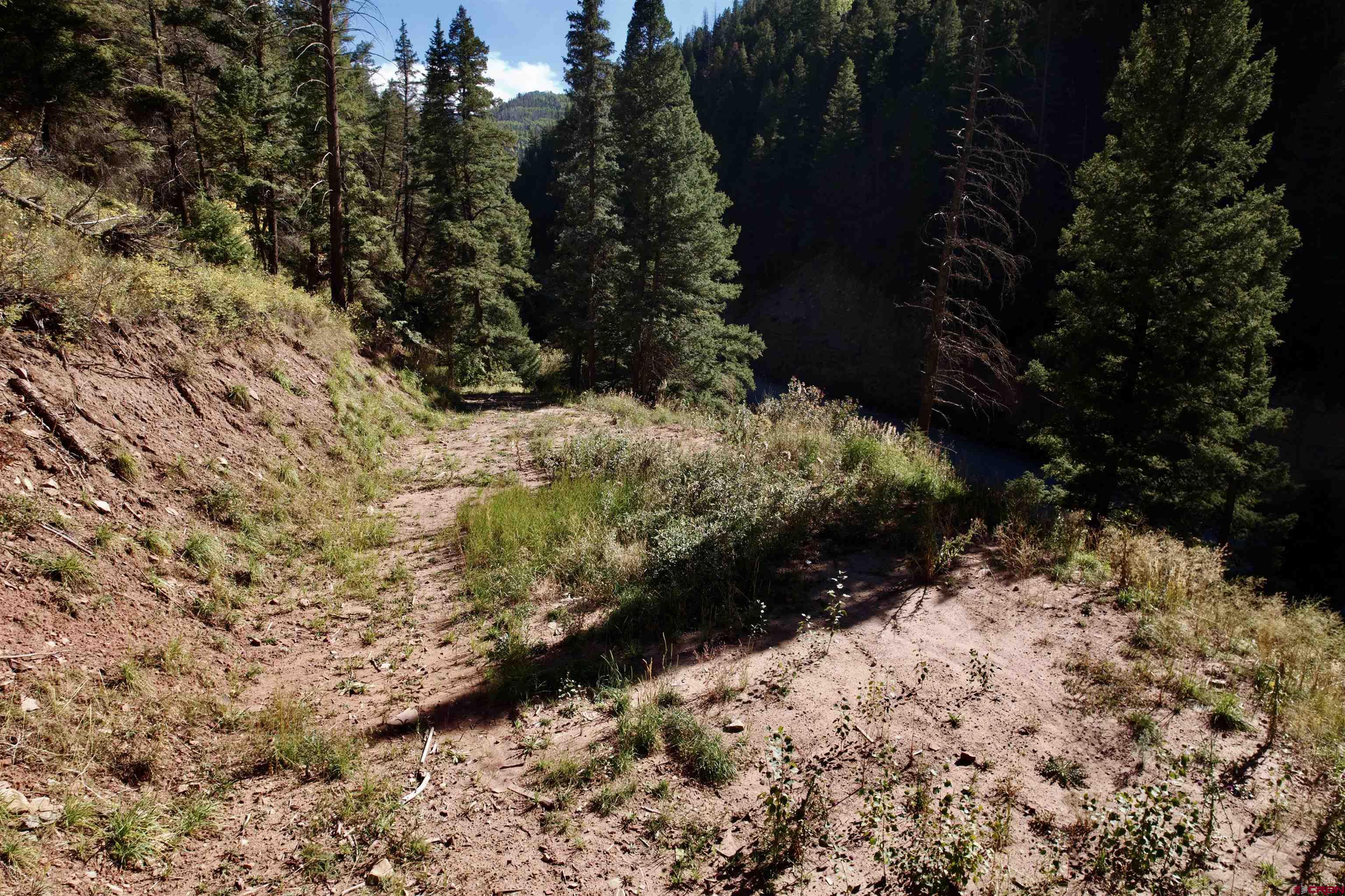 Silver Pick Road Telluride, CO 81435 - Photo 6 of 21 a view of a yard with trees
