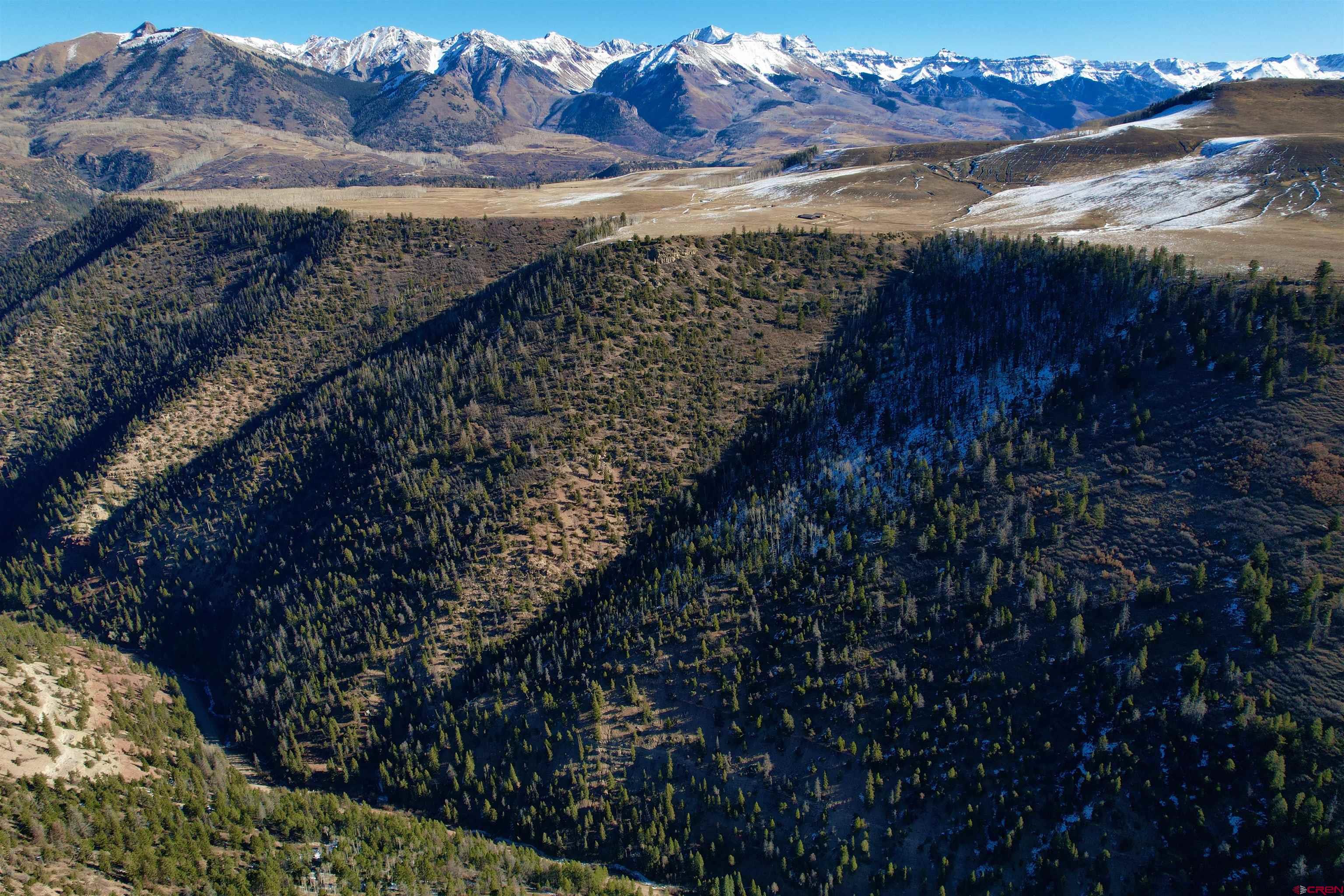 Silver Pick Road Telluride, CO 81435 - Photo 9 of 21 a view of a backyard of a house