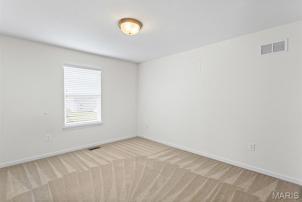 917 Sturbridge Trail O'Fallon, IL 62269 - Photo 40 of 63