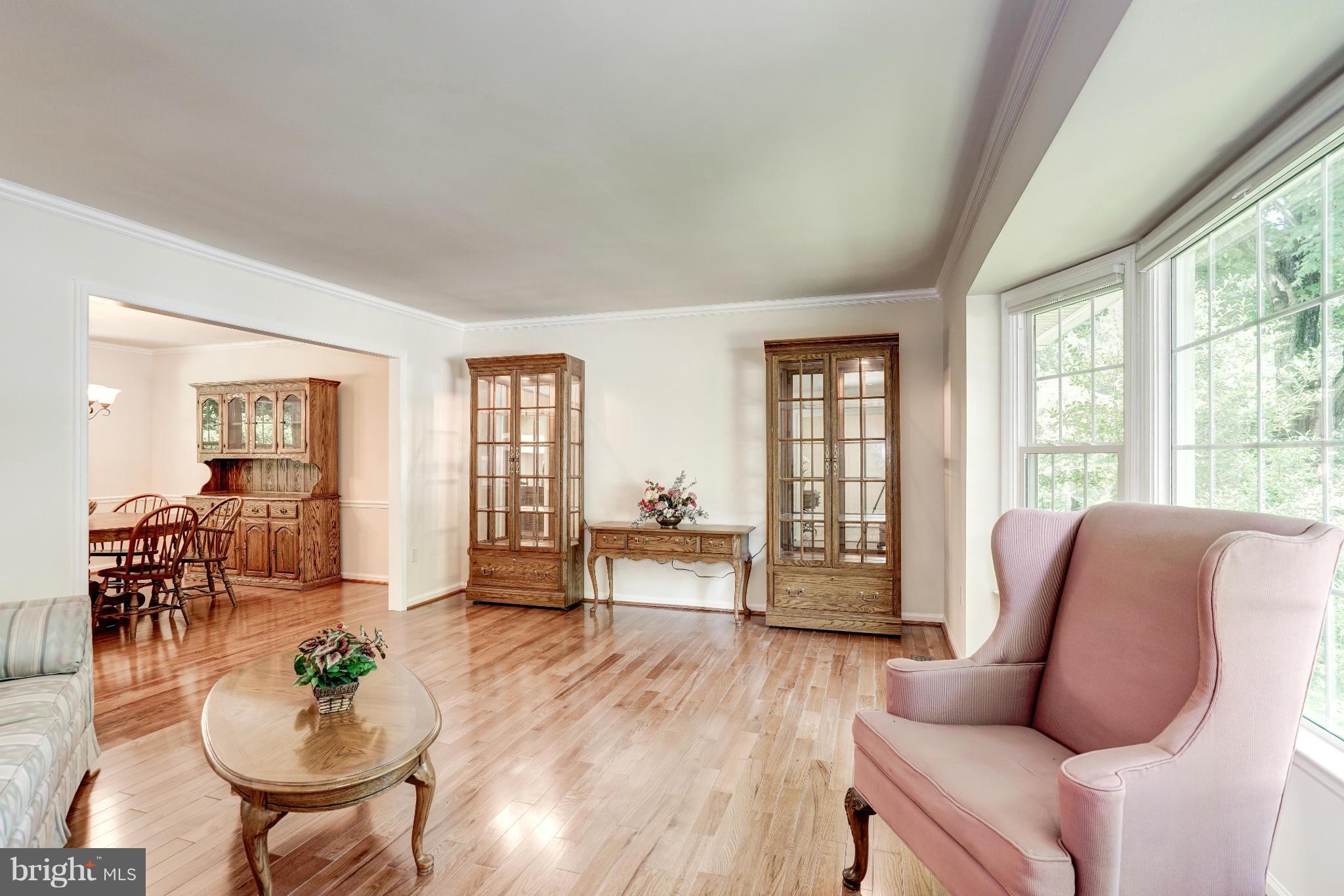 10152 Red Spruce Road Fairfax, VA 22032 - Photo 11 of 30 Living Room
