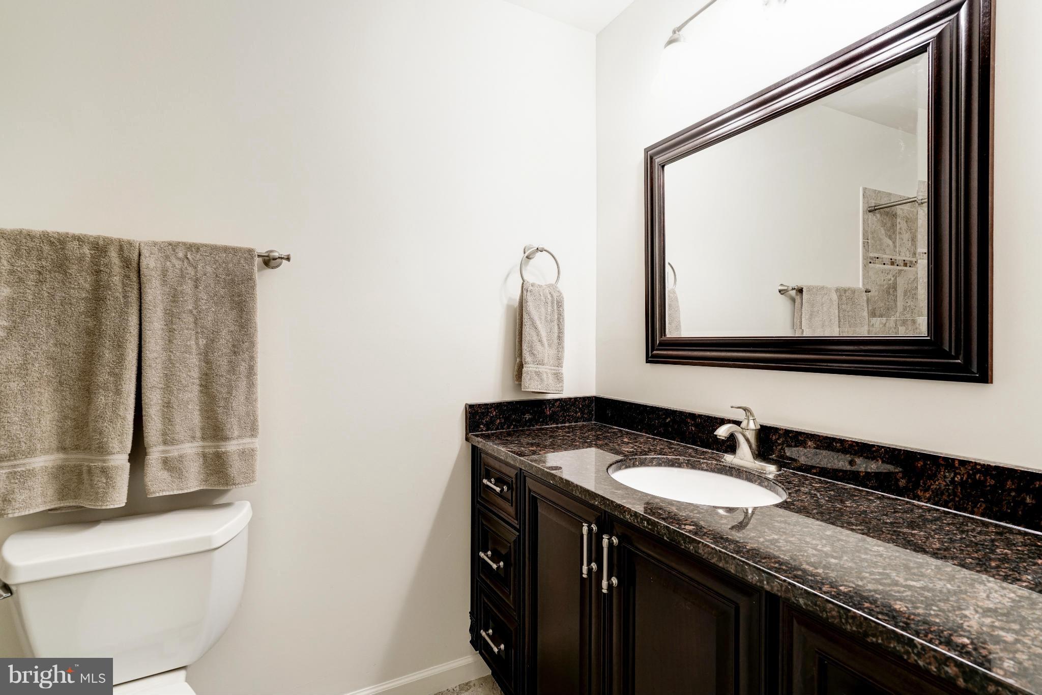 10152 Red Spruce Road Fairfax, VA 22032 - Photo 16 of 30 Bath (Master)