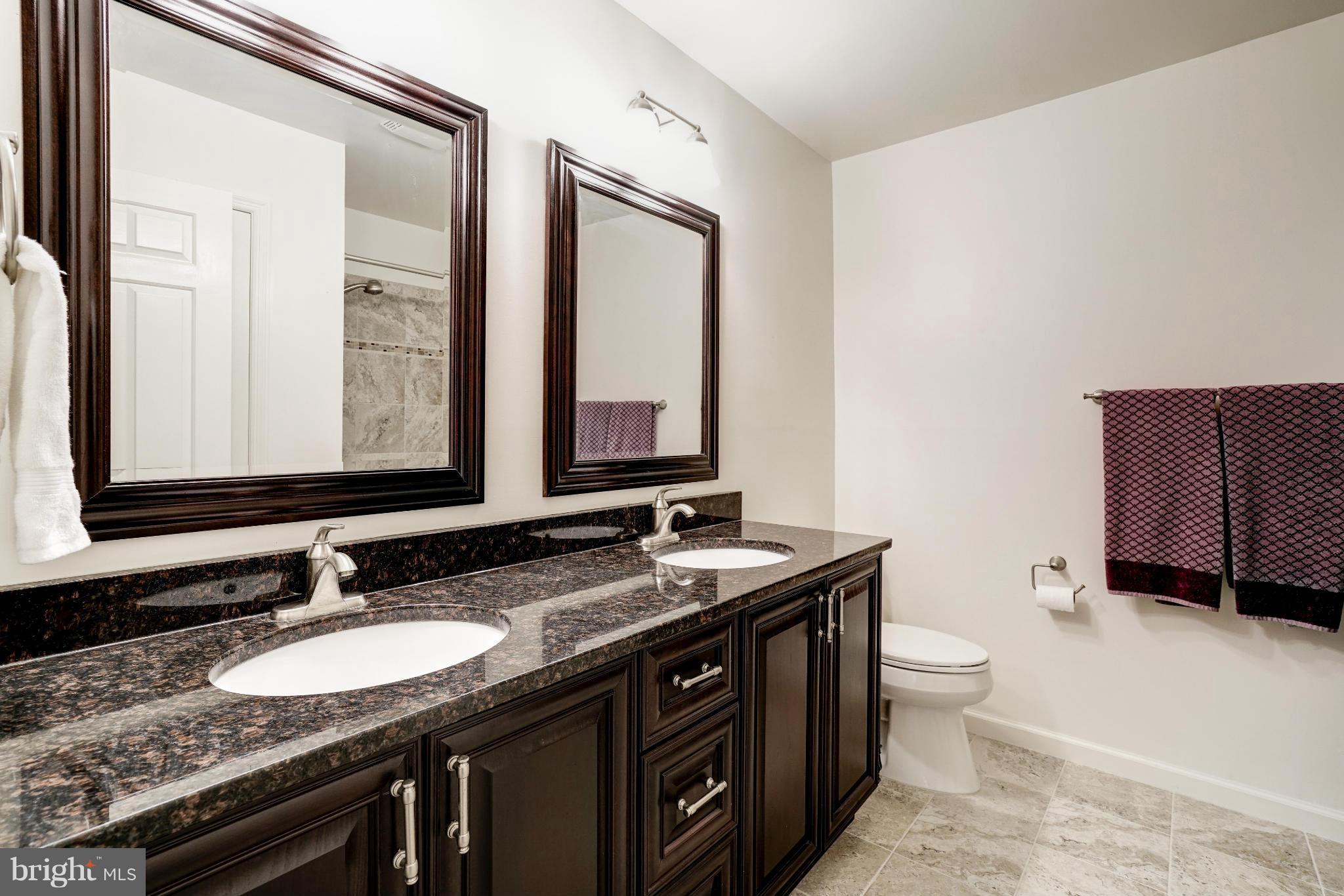 10152 Red Spruce Road Fairfax, VA 22032 - Photo 19 of 30 Bath
