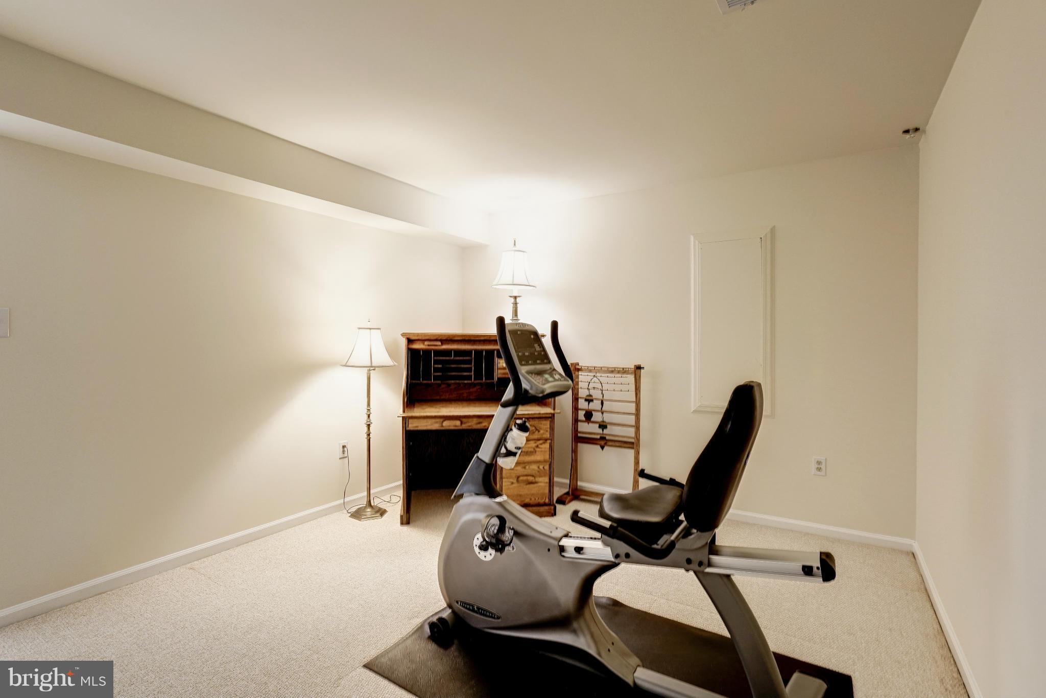 10152 Red Spruce Road Fairfax, VA 22032 - Photo 24 of 30 Basement