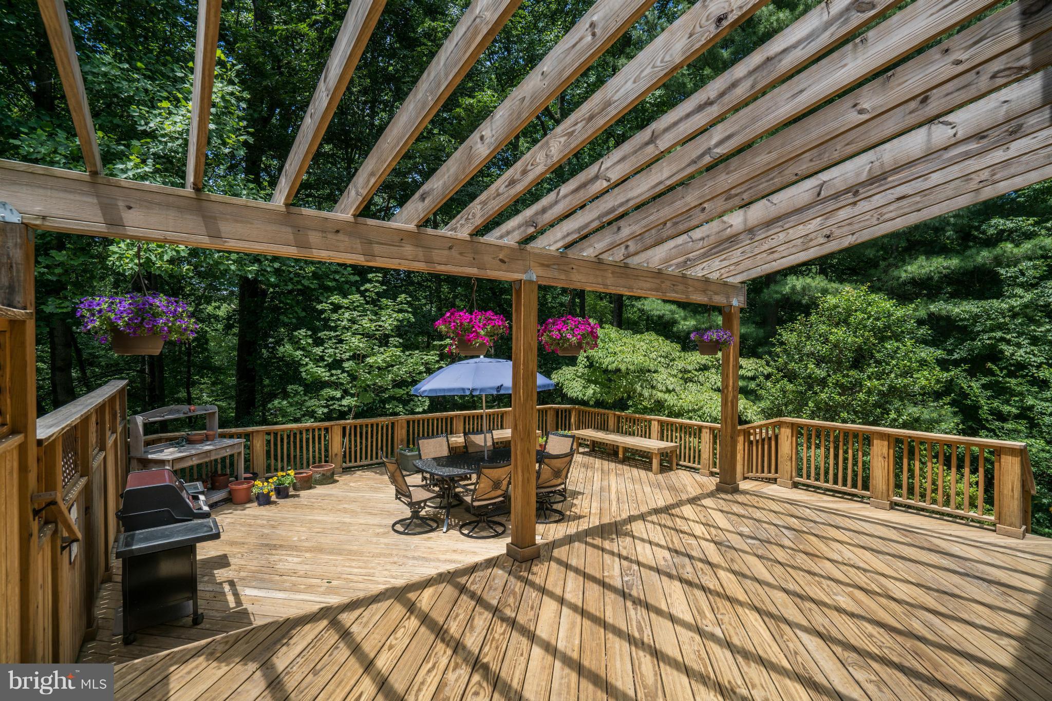 10152 Red Spruce Road Fairfax, VA 22032 - Photo 26 of 30 Exterior (Rear)