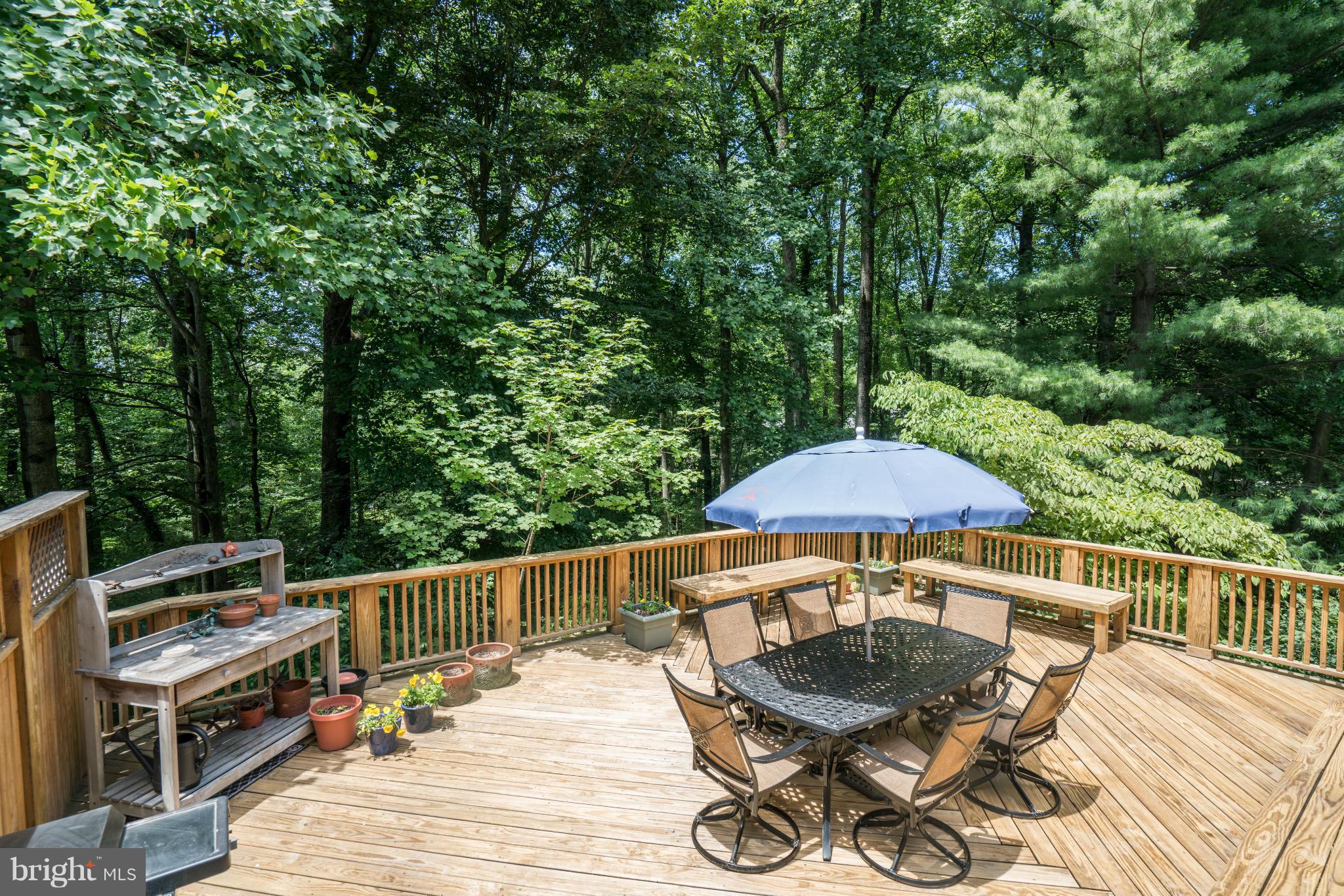 10152 Red Spruce Road Fairfax, VA 22032 - Photo 29 of 30 Exterior (Rear)