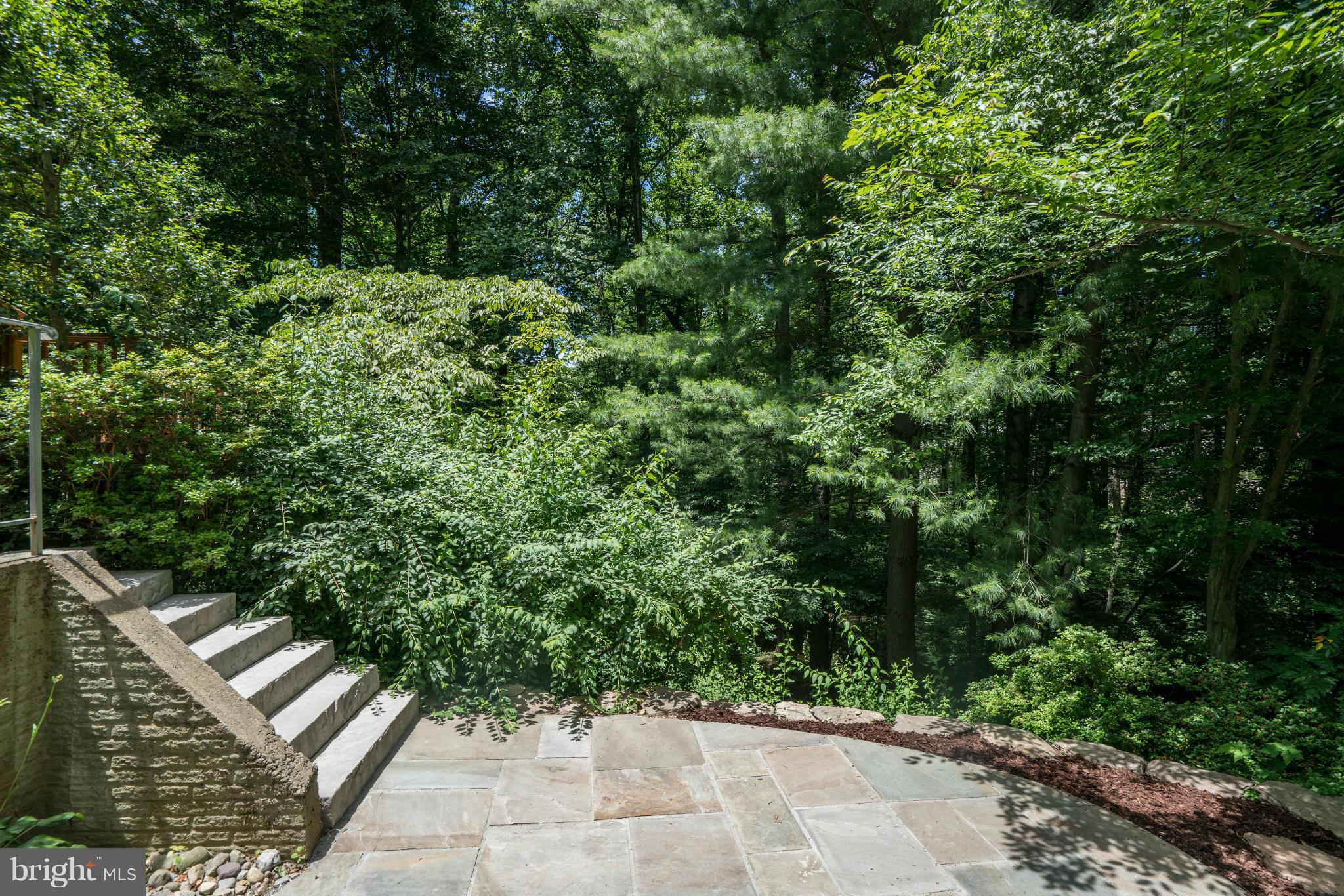 10152 Red Spruce Road Fairfax, VA 22032 - Photo 30 of 30 Exterior (Rear)