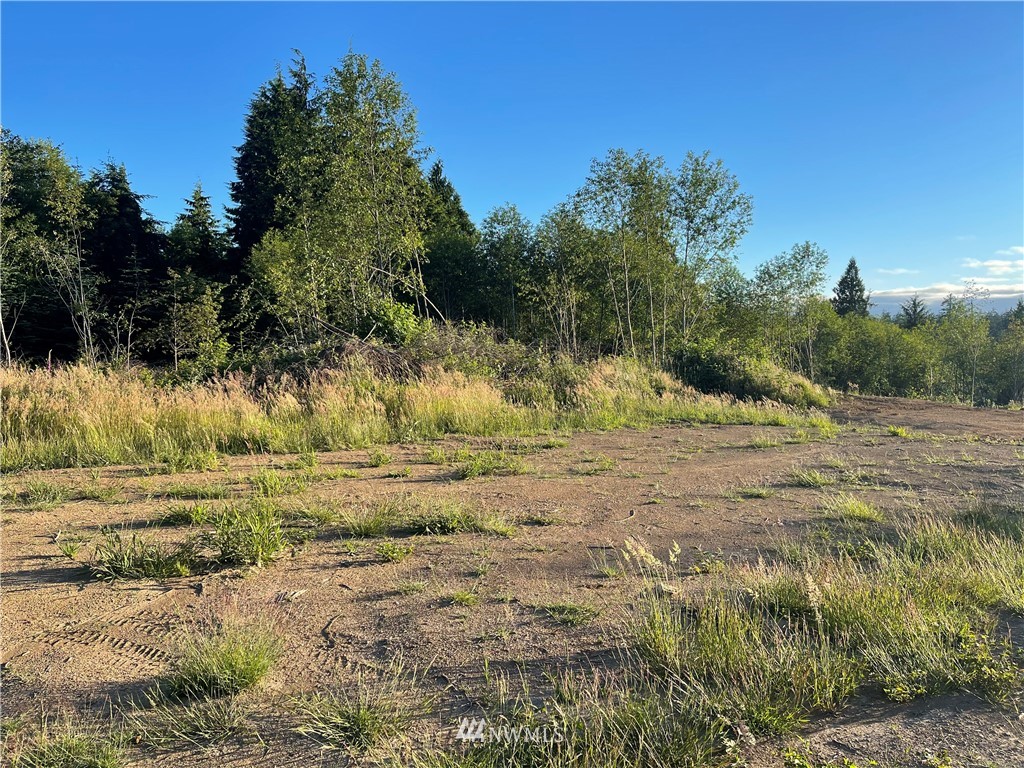 4400 Aberdeen Lake Road Aberdeen, WA 98520 - Photo 10 of 13 Gallery Image 10