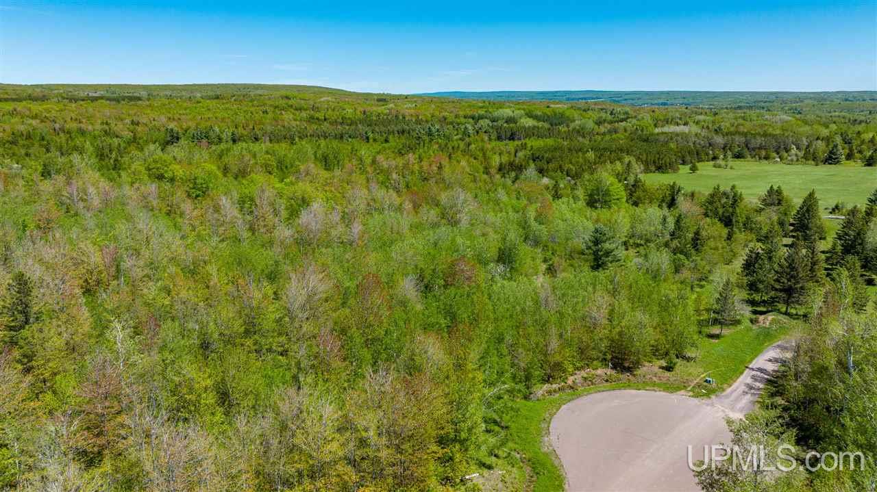 13880 Jackola Road Atlantic Mine, MI 49905 - Photo 8 of 30