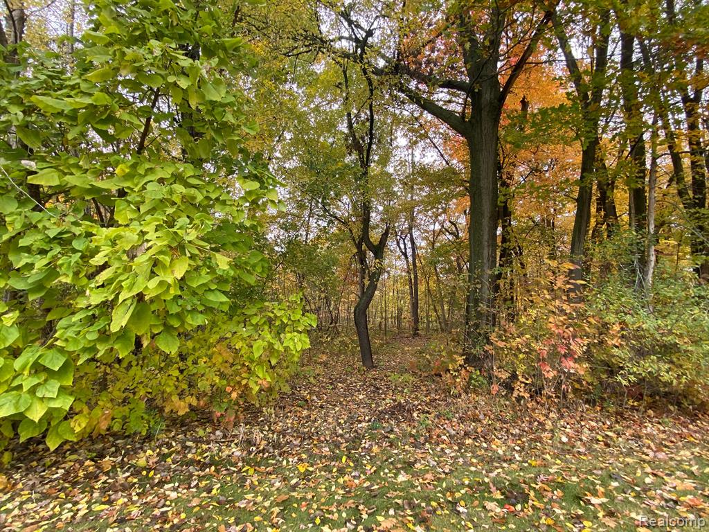 Lot 21 Deer Ridge Trail Howell, MI 48843 - Photo 7 of 17