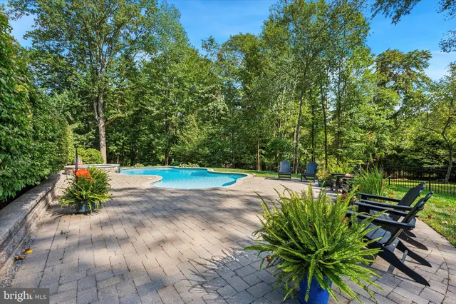 a view of a garden with plants and a bench