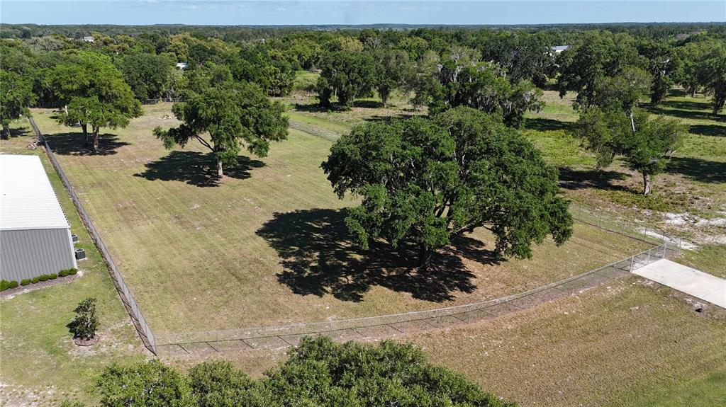 980 Duck Box Road Umatilla, FL 32784 - Photo 6 of 9 Gallery Image 6