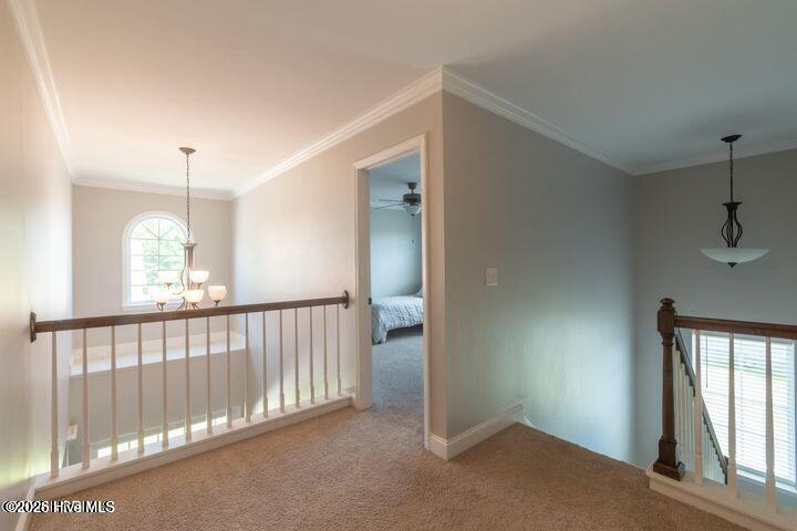 3204 Rounding Bend Drive Winterville, NC 28590 - Photo 20 of 32 19