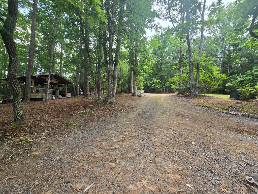 64 Green Oak Road Warne, NC 28909 - Photo 28 of 55 Entrance of the circular drive