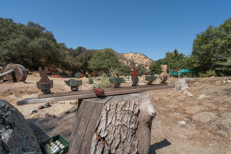 45244 South Fork Drive, Unit D Three Rivers, CA 93271 - Photo 36 of 91 45244D South Fork-39