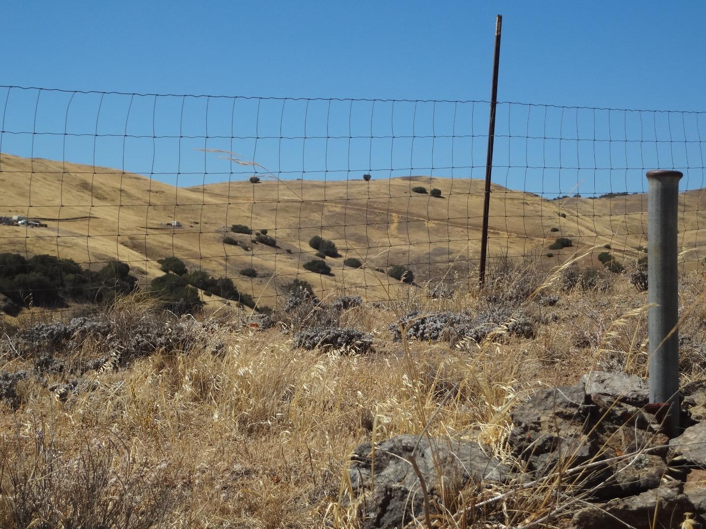 Lot 34 Panoche Road Paicines, CA 95043 - Photo 8 of 16 Gallery Image 8