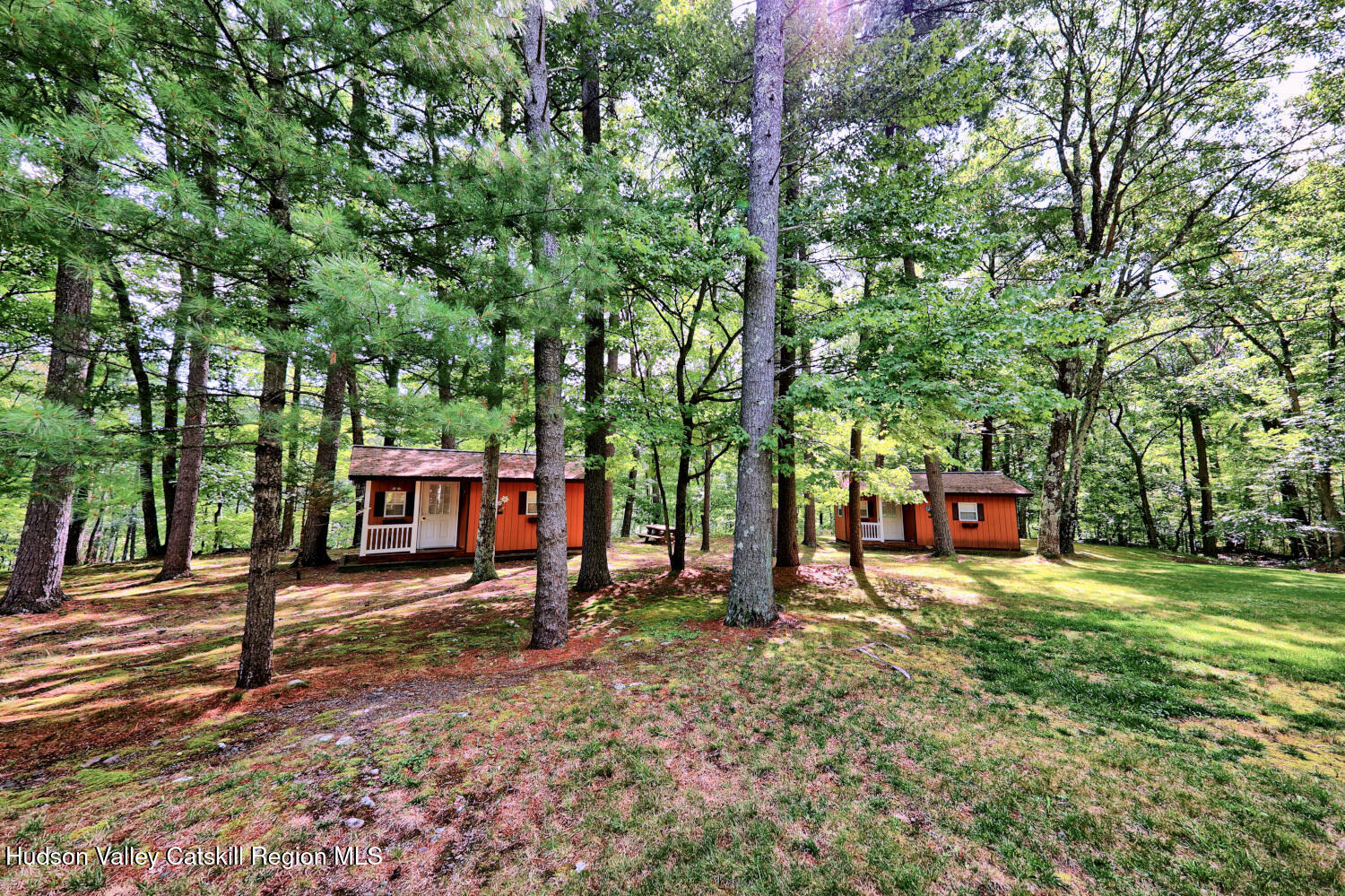 379 Joel M Austin Road Cairo, NY 12413 - Photo 60 of 92 9zx