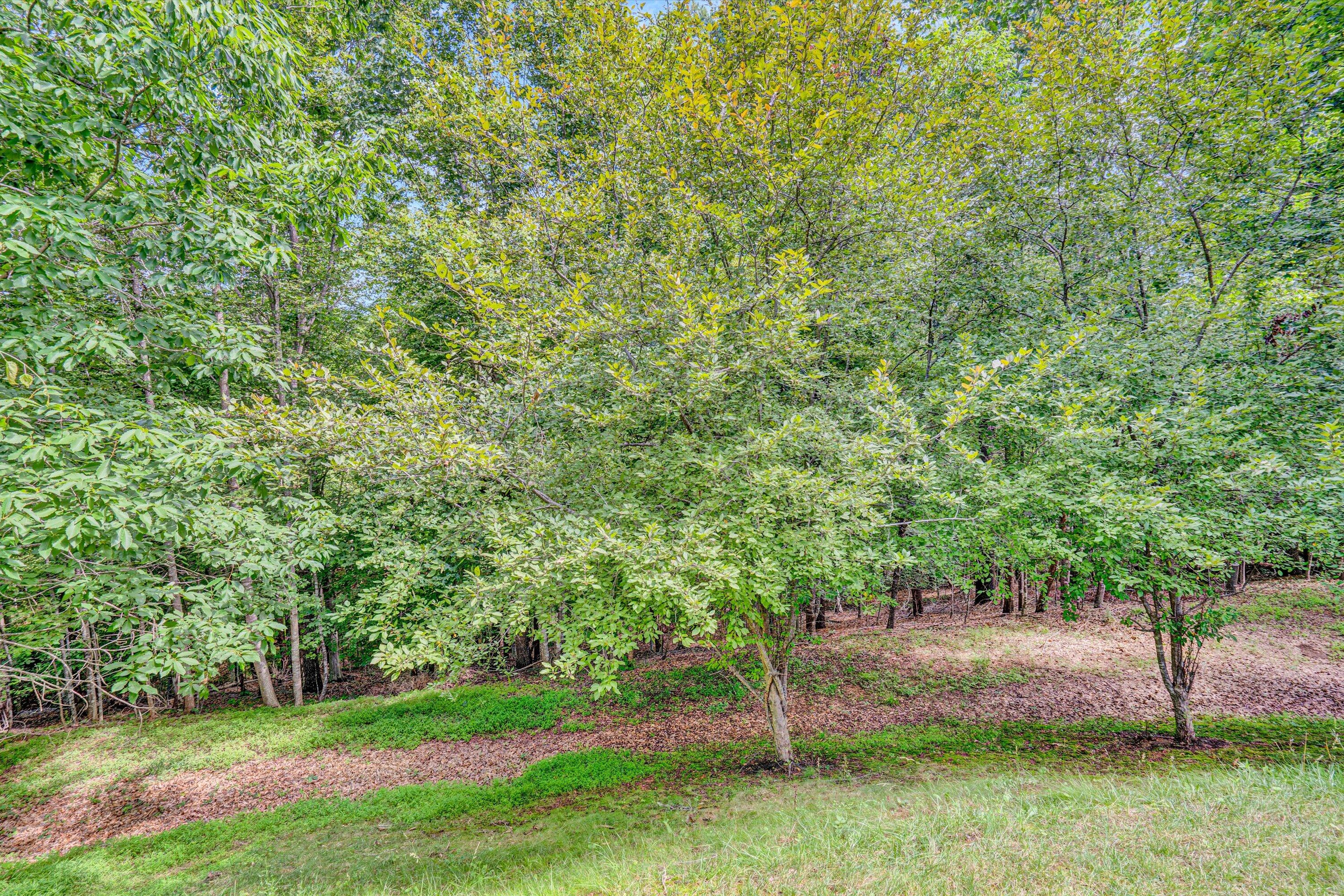 131 Stoney Mill Road Rocky Mount, VA 24151 - Photo 48 of 48 47-DSC00136