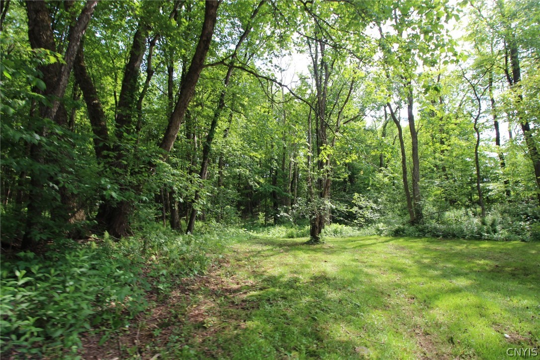 376 County Rte 22 Parish, NY 13131 - Photo 12 of 44