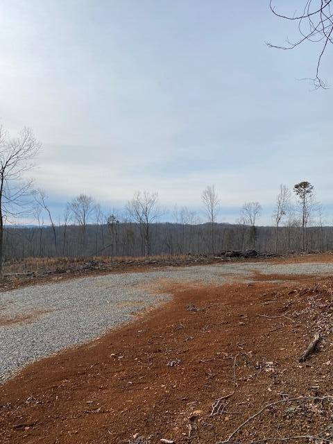 9 River Road Decatur, TN 37322 - Photo 7 of 9 Gallery Image 7