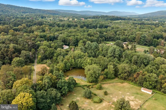 a view of a forest with an outdoor space