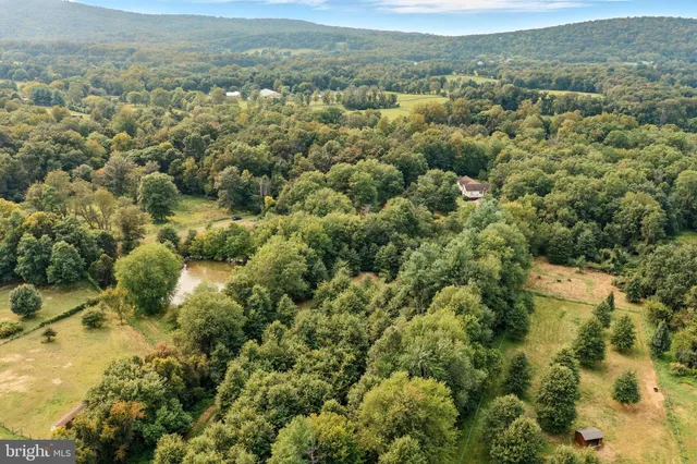 an aerial view of residential houses with outdoor space and trees