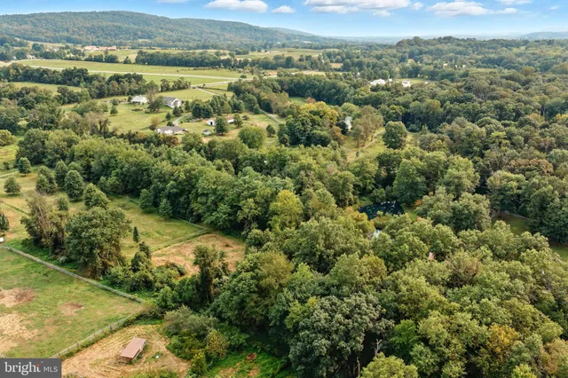 an aerial view of residential houses with outdoor space and trees