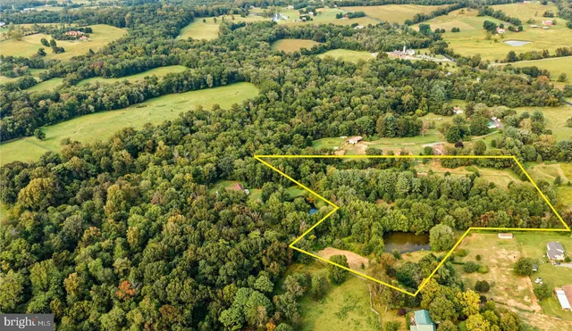 a view of a yard with plants