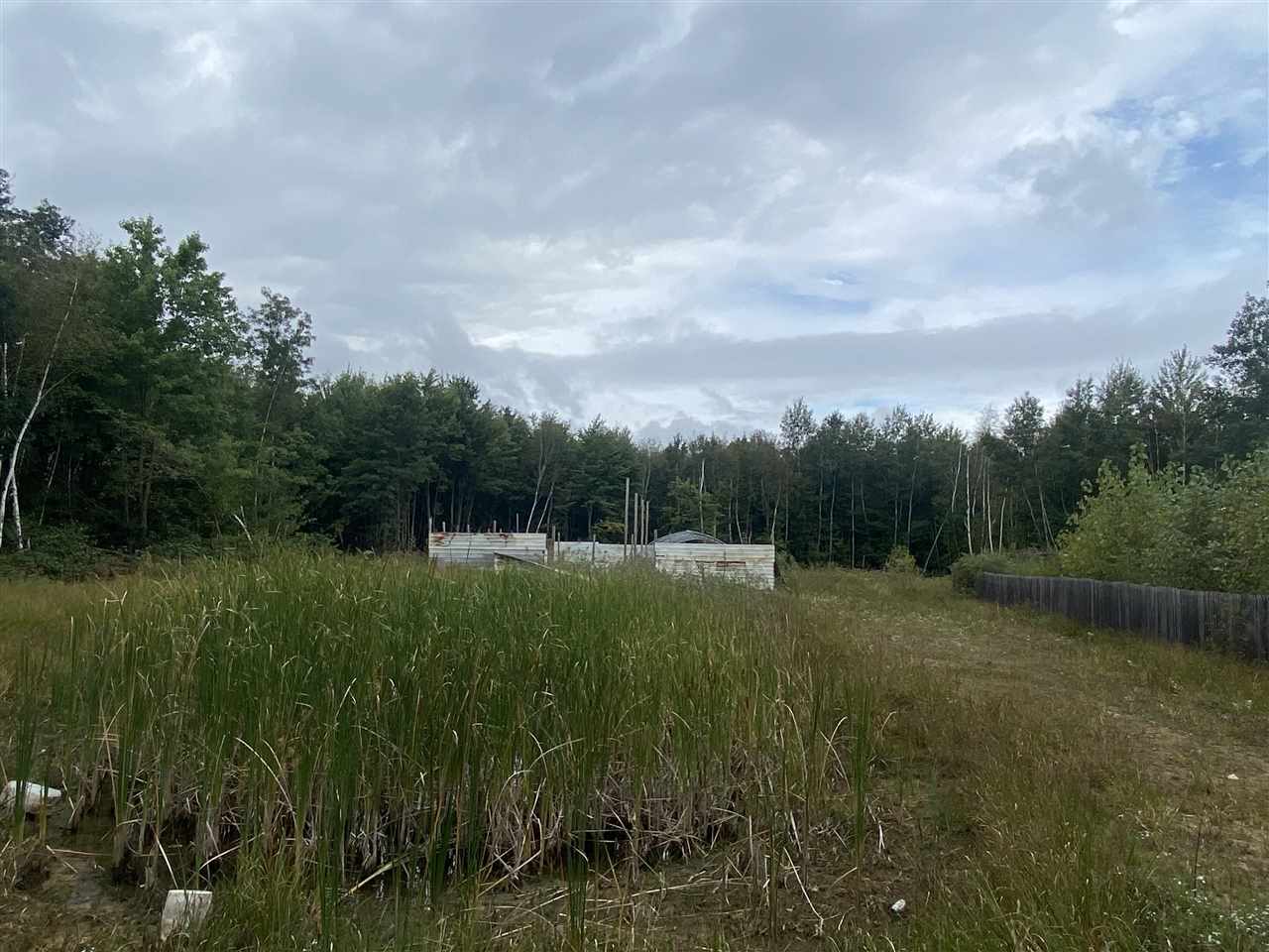 14660 South Chapin Road Elsie, MI 48831 - Photo 19 of 19