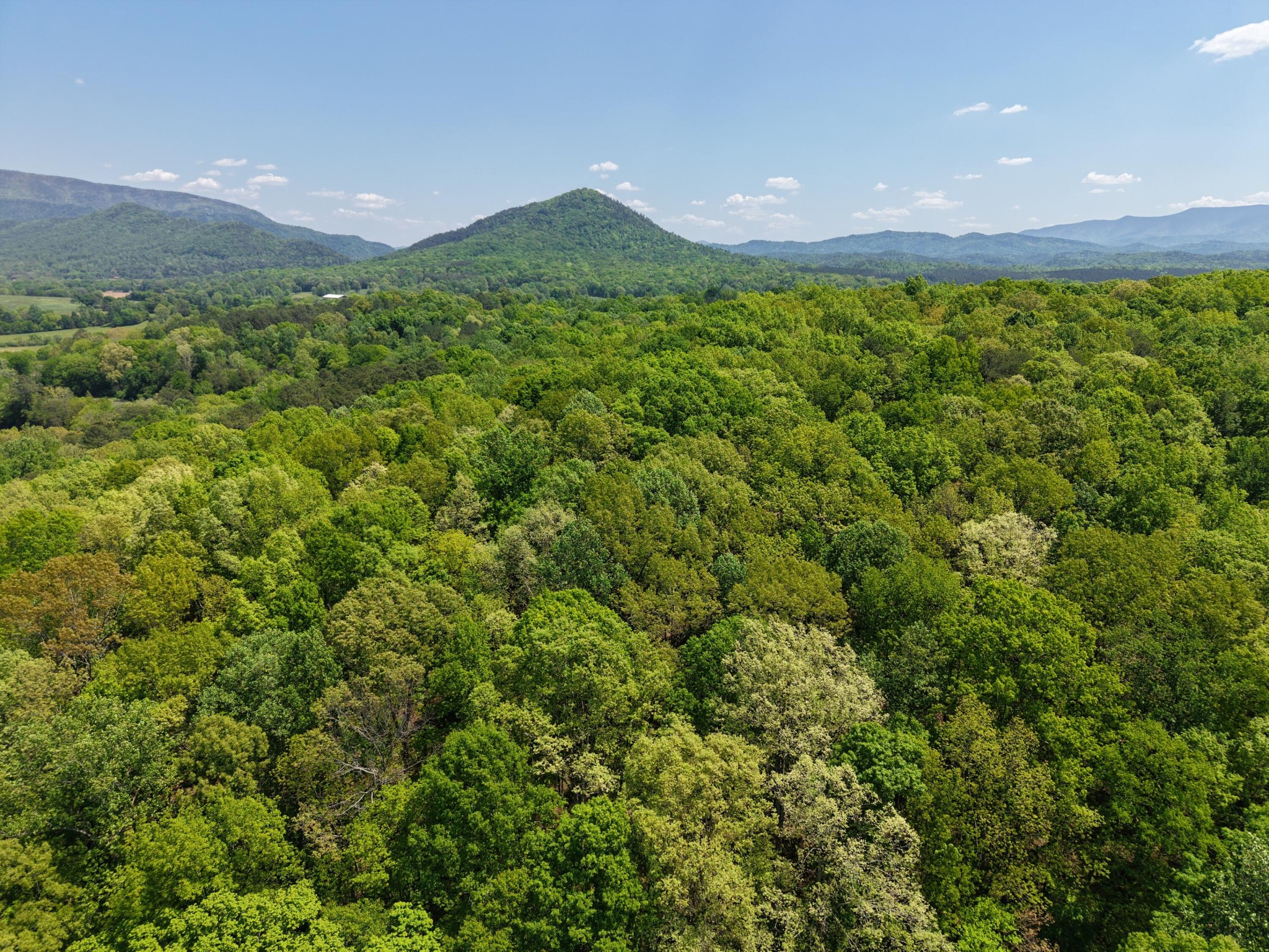 0 Sloans Gap Road Ocoee, TN 37361 - Photo 7 of 12