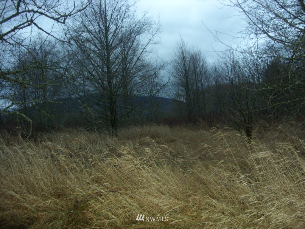 -xxxx Fruitdale Road Sedro-Woolley, WA 98284 - Photo 3 of 7 Gallery Image 3