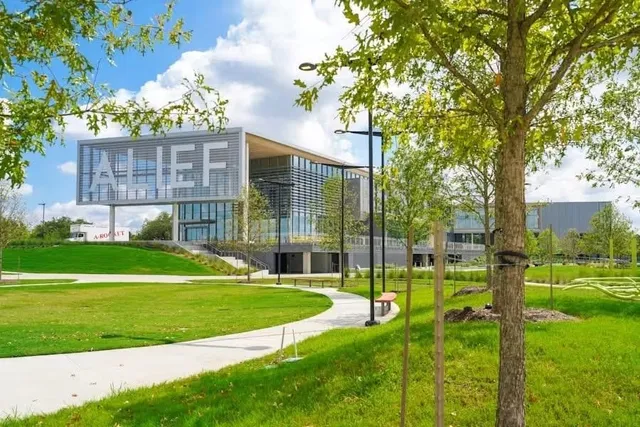 a view of a park with a large tree