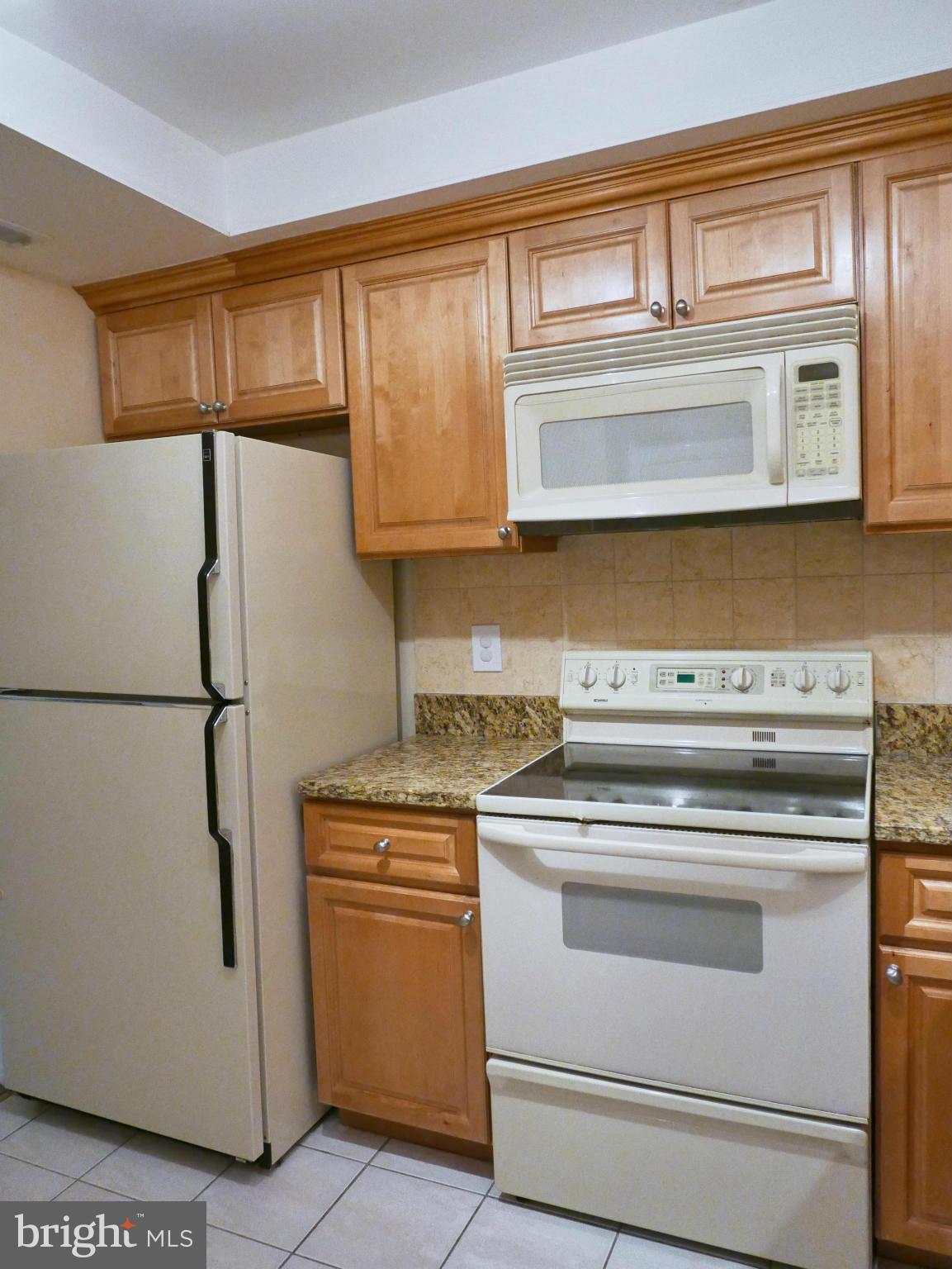 10020 Stedwick Road, Unit 302 Montgomery Village, MD 20886 - Photo 4 of 30 Kitchen