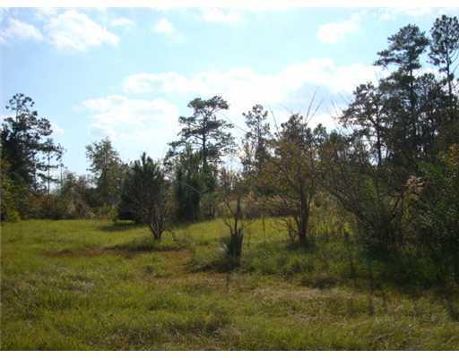 84253 North Factory Road Folsom, LA 70437 - Photo 19 of 25 Gallery Image 19