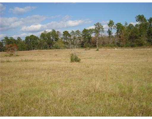 84253 North Factory Road Folsom, LA 70437 - Photo 23 of 25 Gallery Image 23