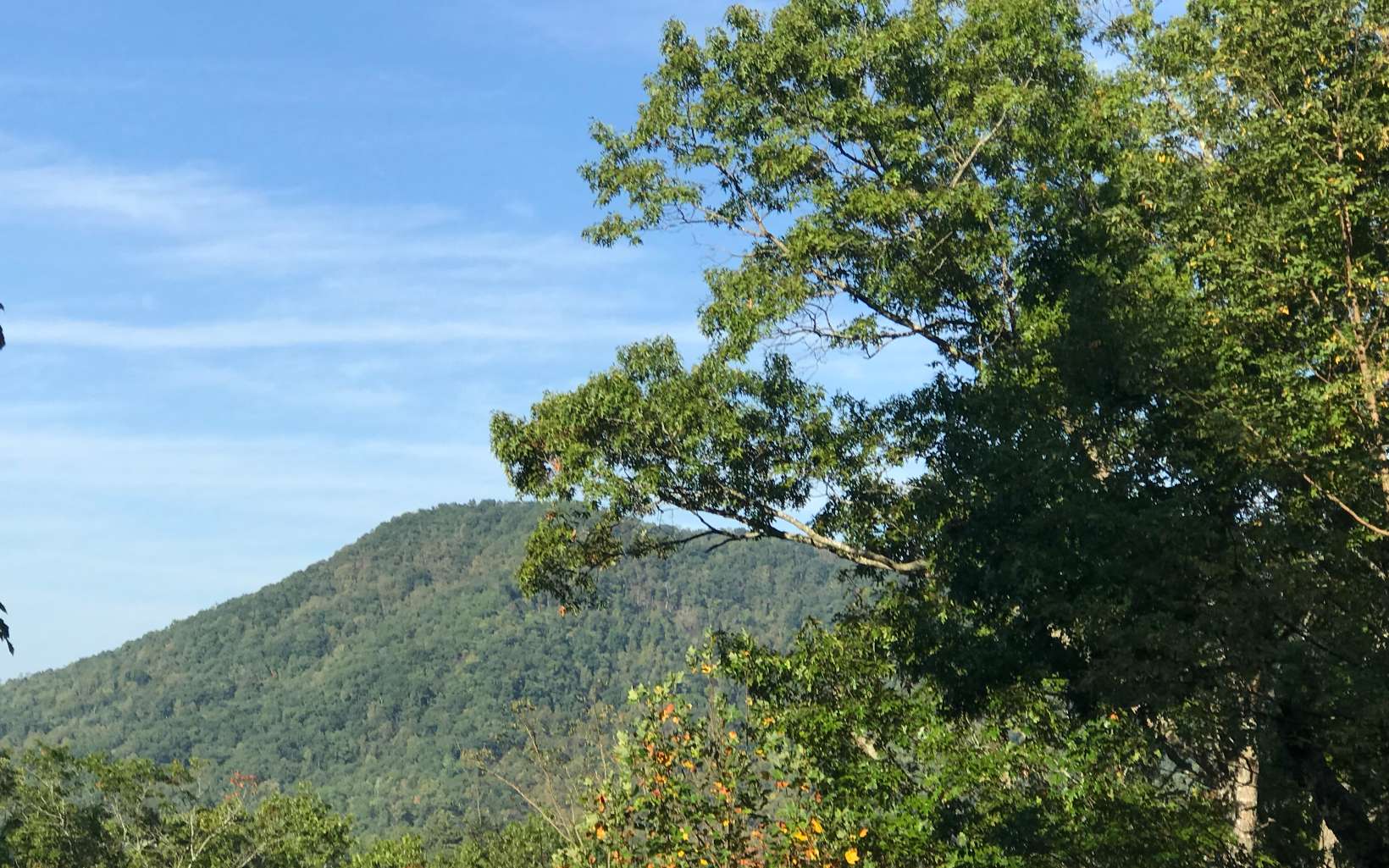 2 Tantrough Road Hiawassee, GA 30546 - Photo 1 of 1 Main View
