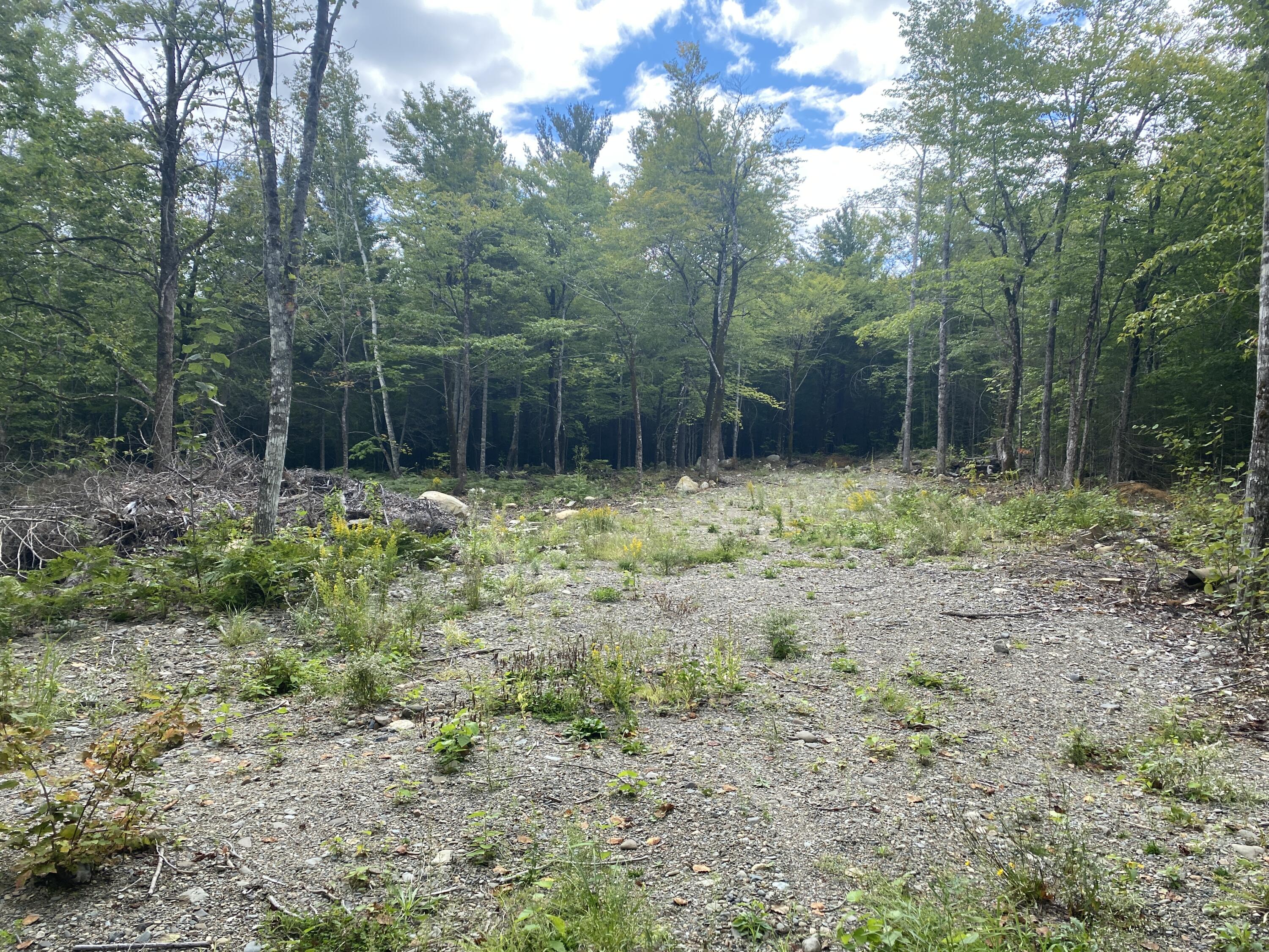 Lot 8 Whitetail Ridge Road Enfield, ME 04493 - Photo 1 of 11 Photo Sep 07, 12 53 17 PM