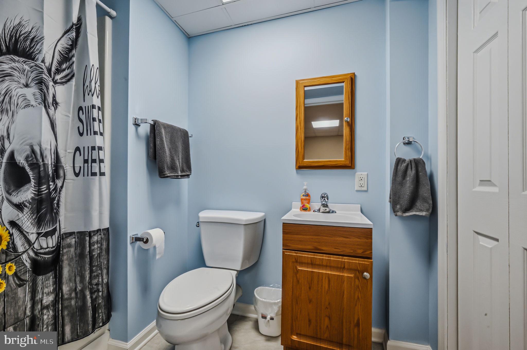 412 Maplewood Lane Middletown, DE 19709 - Photo 42 of 49