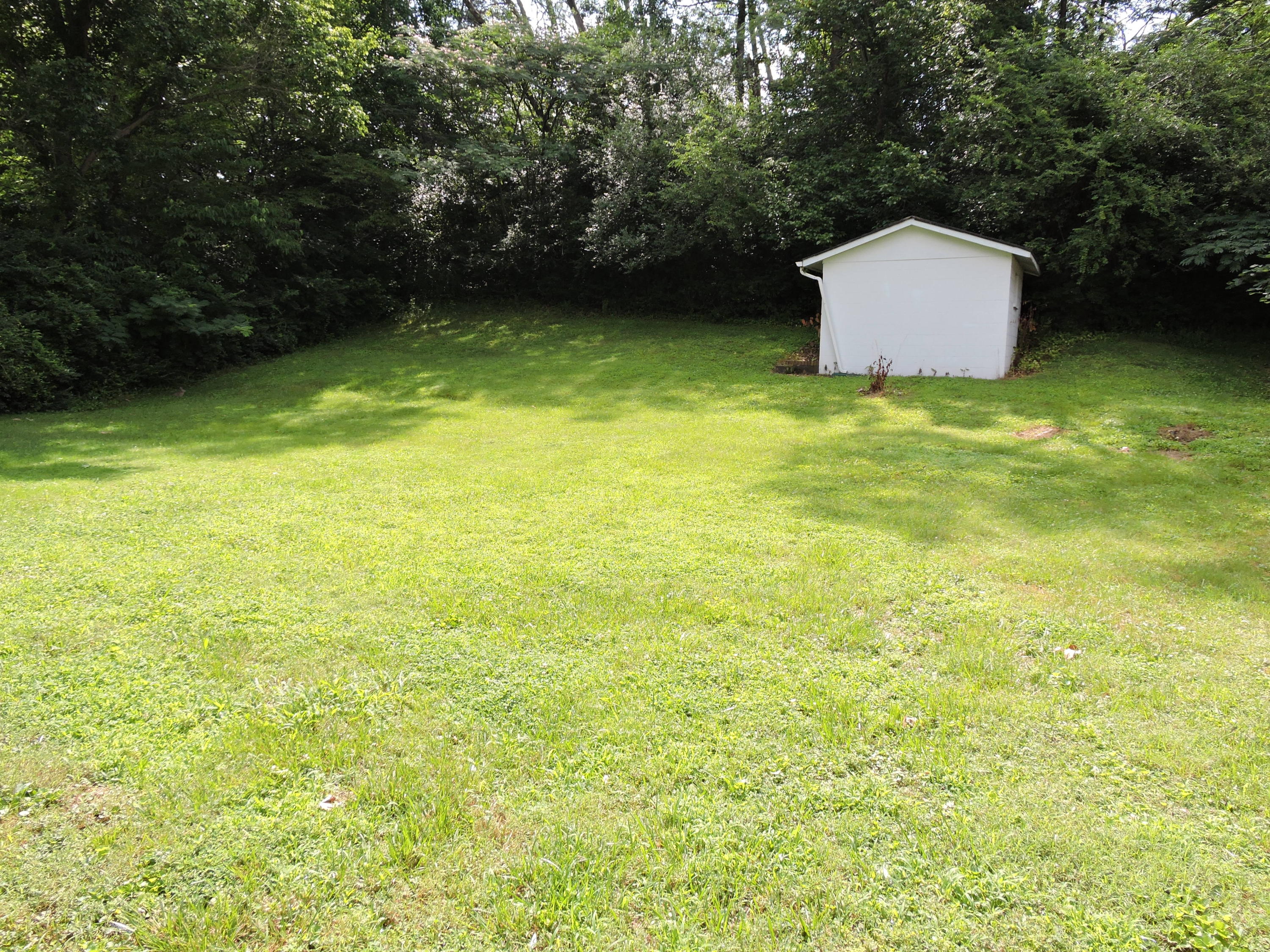 112 Pratt Lane Oak Ridge, TN 37830 - Photo 4 of 18 2017-07-02 23.43.27