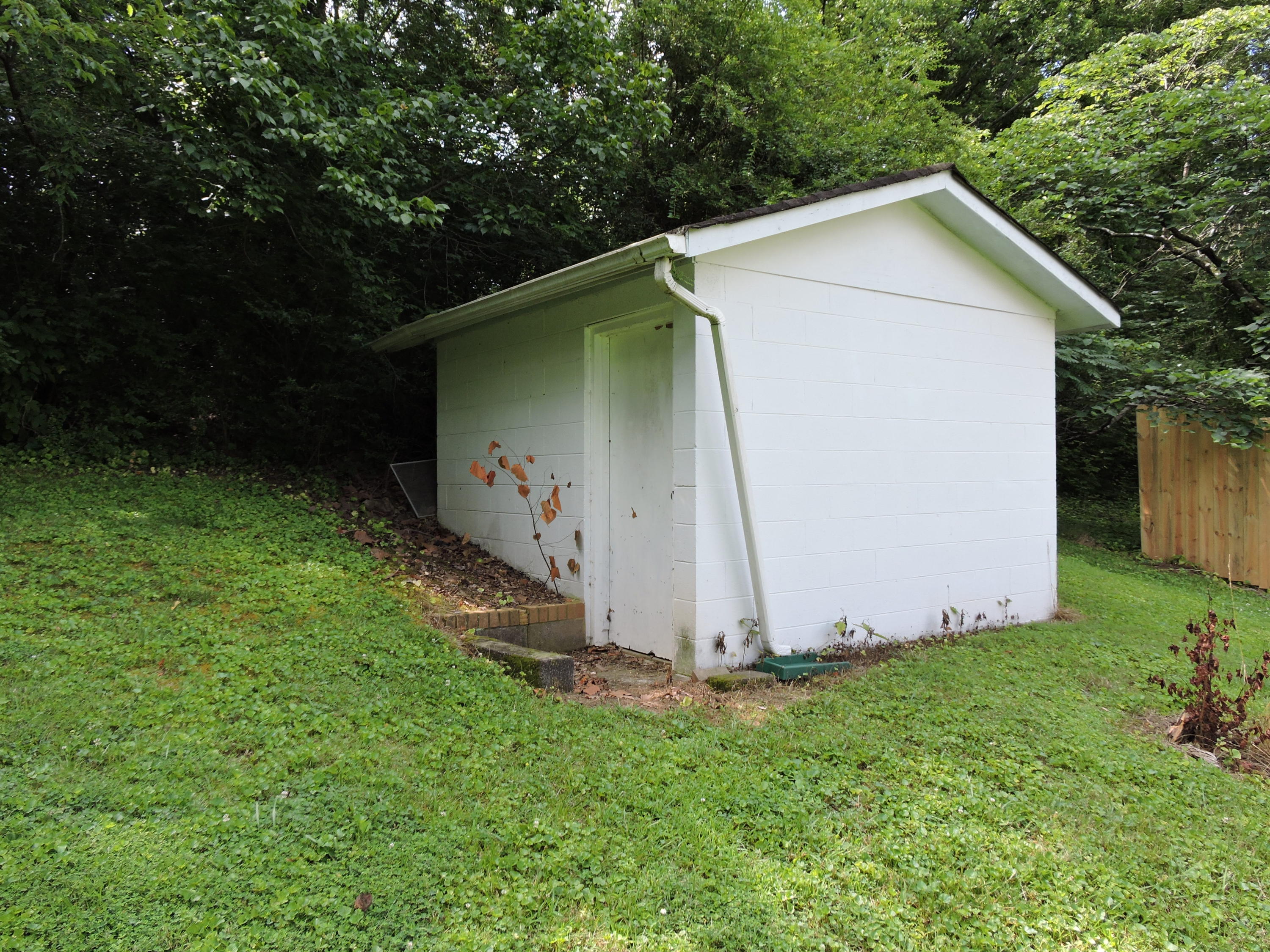 112 Pratt Lane Oak Ridge, TN 37830 - Photo 6 of 18 2017-07-02 23.44.03