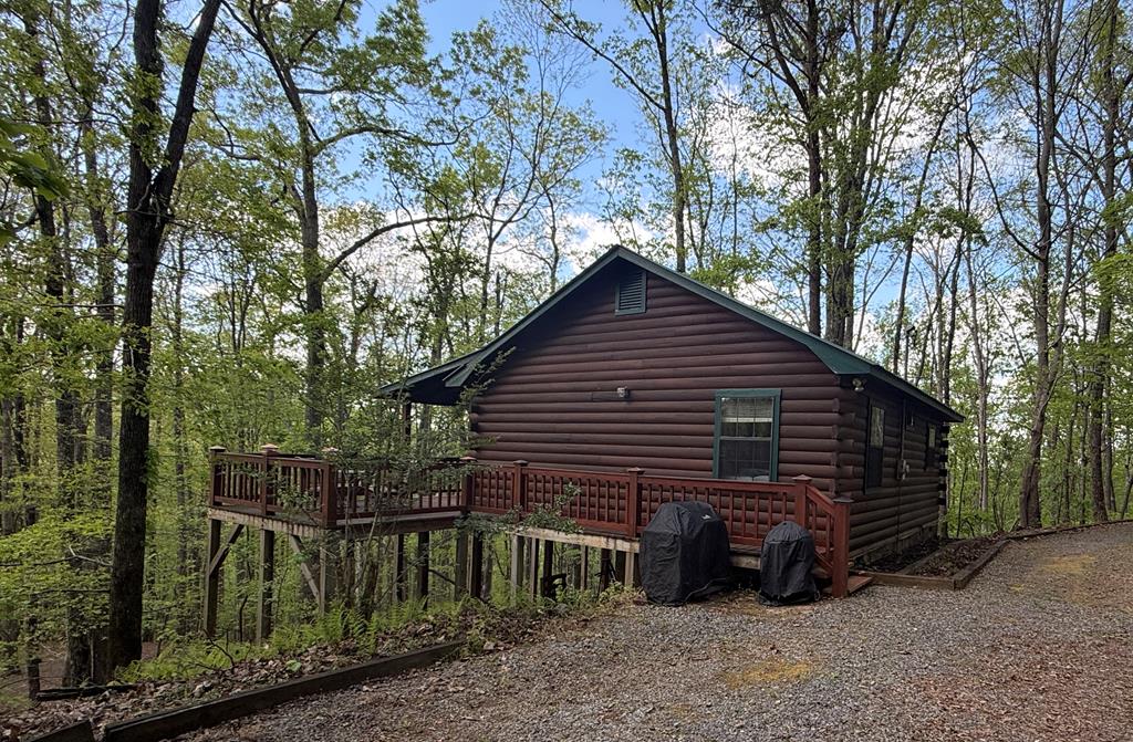 660 Ripshin Mountain Road Blue Ridge, GA 30513 - Photo 34 of 40