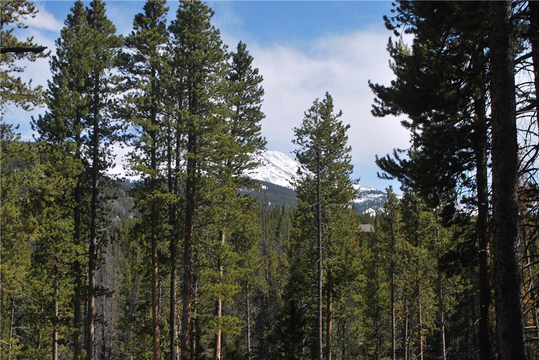 53 Bryce Estates Road Breckenridge, CO 80424 - Photo 23 of 25 Gallery Image 23